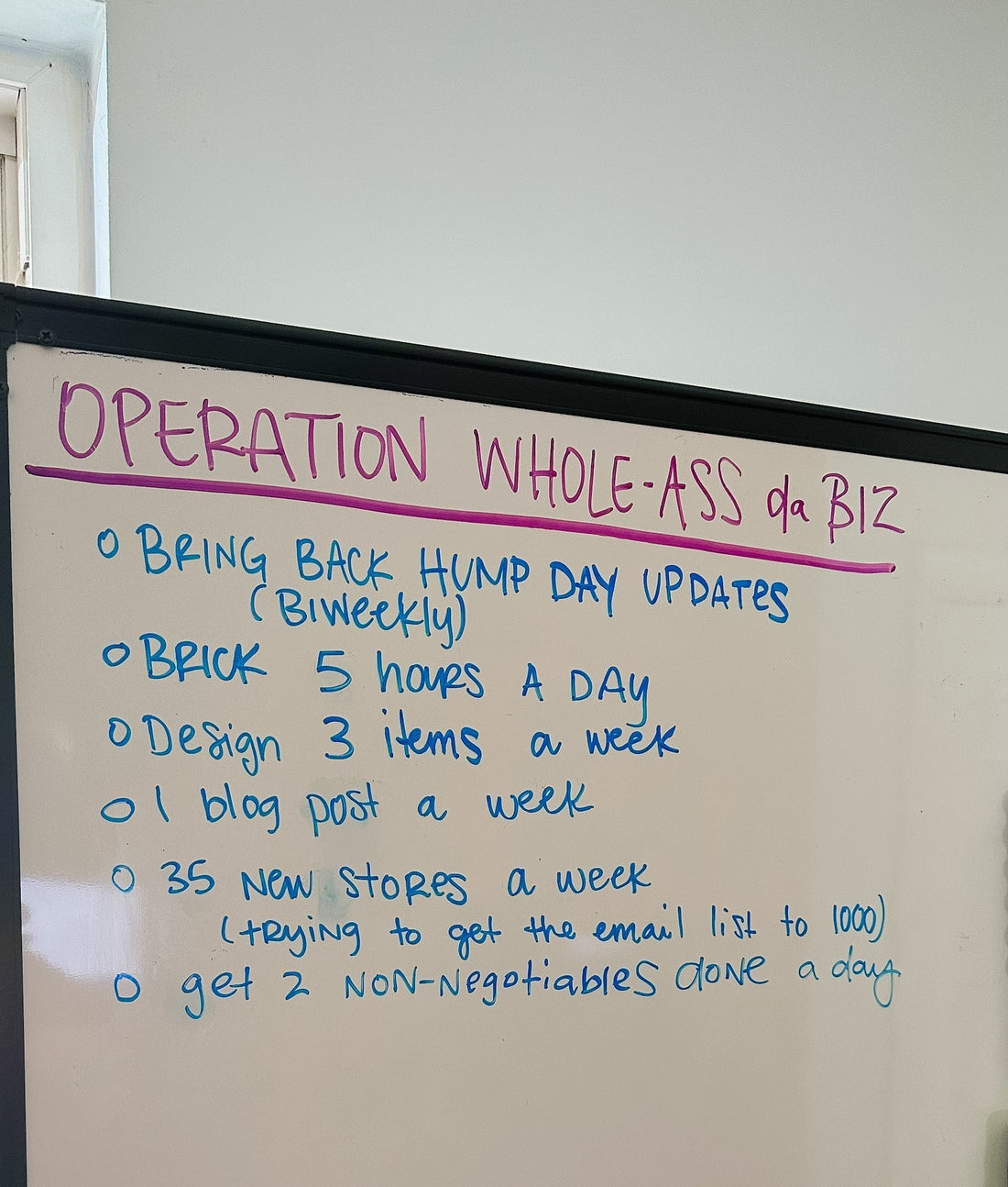 OPERATION: WHOLEASS da BIZ